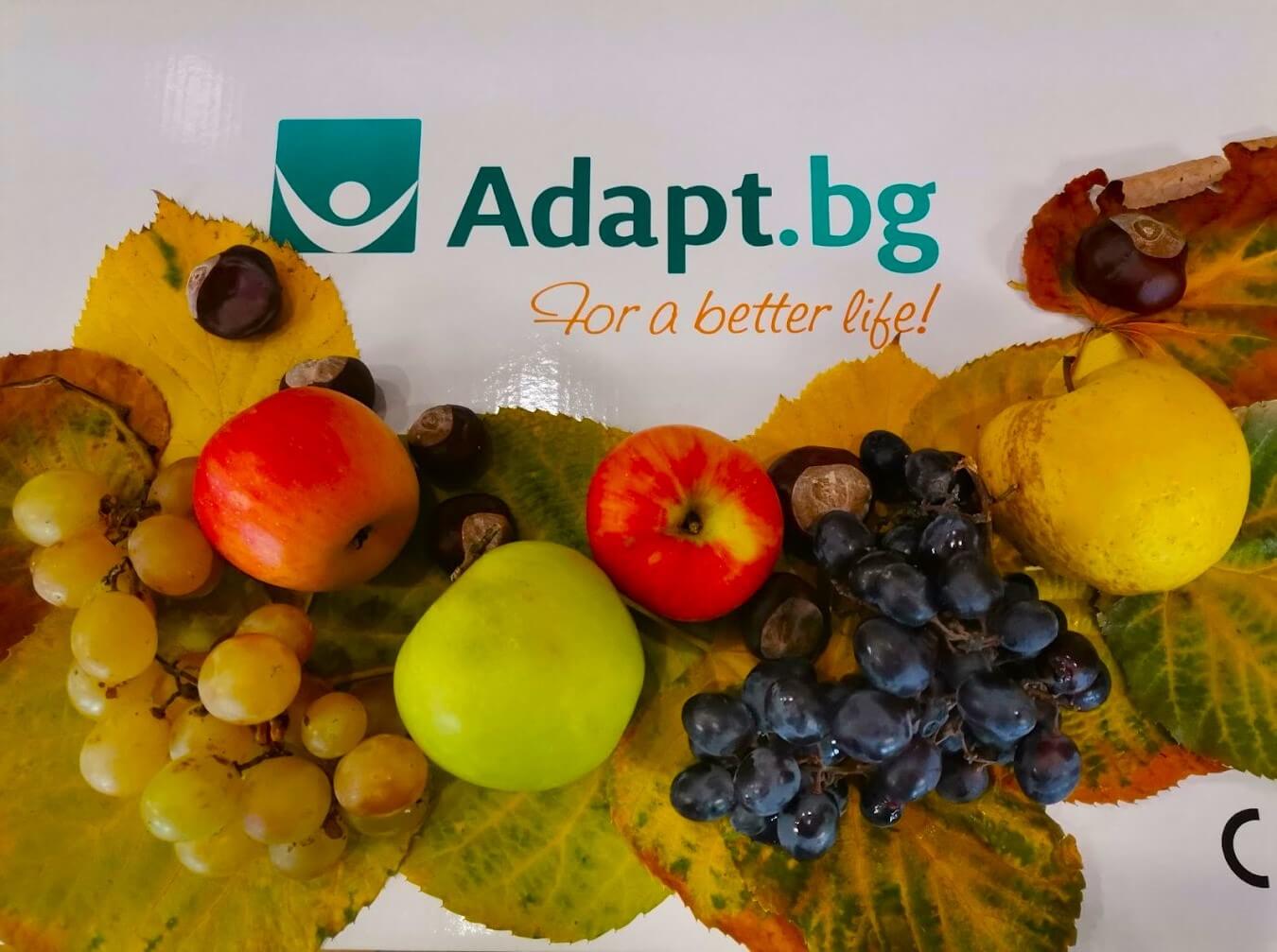 Есенна украса в Адапт БГ Русе - Кампания за Страшно добър Сън