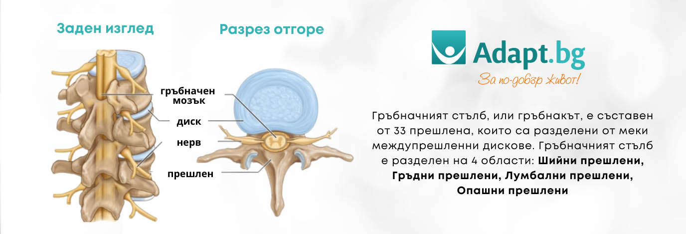 Схема инфографика на гръбначни диск при дискова херния