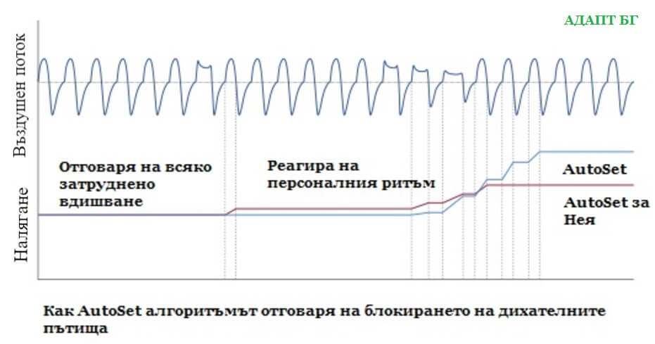 АутоСет алгоритъм по време на сън