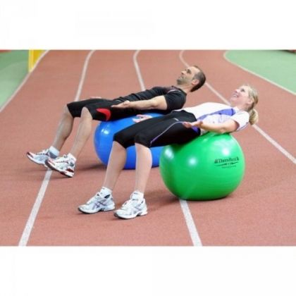 Thera-Band Exercise Ball ABS