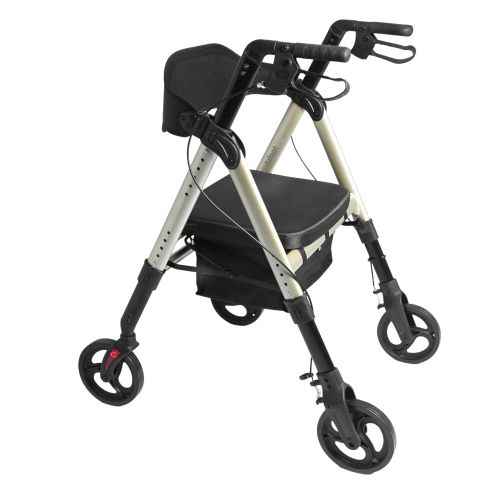 Aluminum Rollator GO