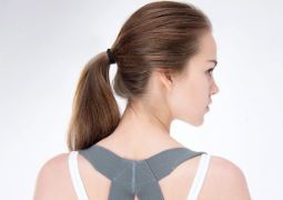 Гръб и Рамене