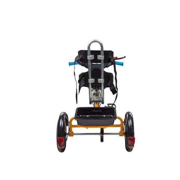 Tricycle for children with special needs Vermeiren SAFARI 