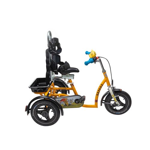 Tricycle for children with special needs Vermeiren SAFARI 