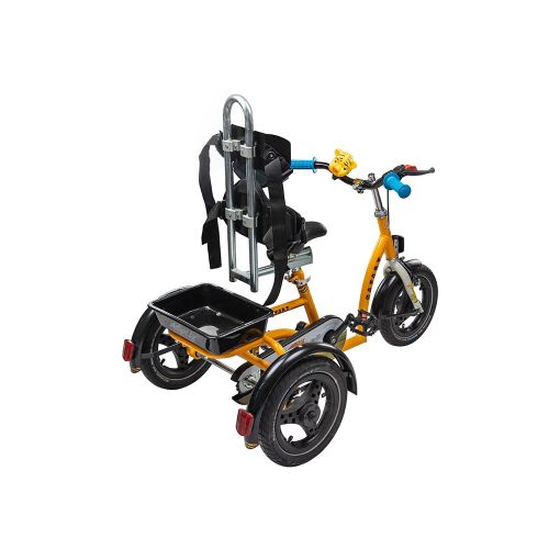 Tricycle for children with special needs Vermeiren SAFARI 
