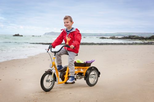 Tricycle for children with special needs Vermeiren SAFARI 